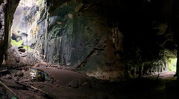 gomantong-cave-kolat day 6